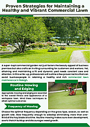 Proven Strategies for Maintaining a Healthy and Vibrant Commercial Lawn