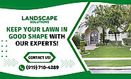 Solve Your Lawn Maintenance Concerns with Our Experts!