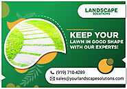 Hire a Professional Lawn Care Experts Today!