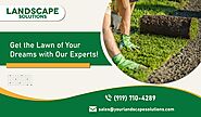 Get Your Yard Lush with Our Lawn Maintenance Company!