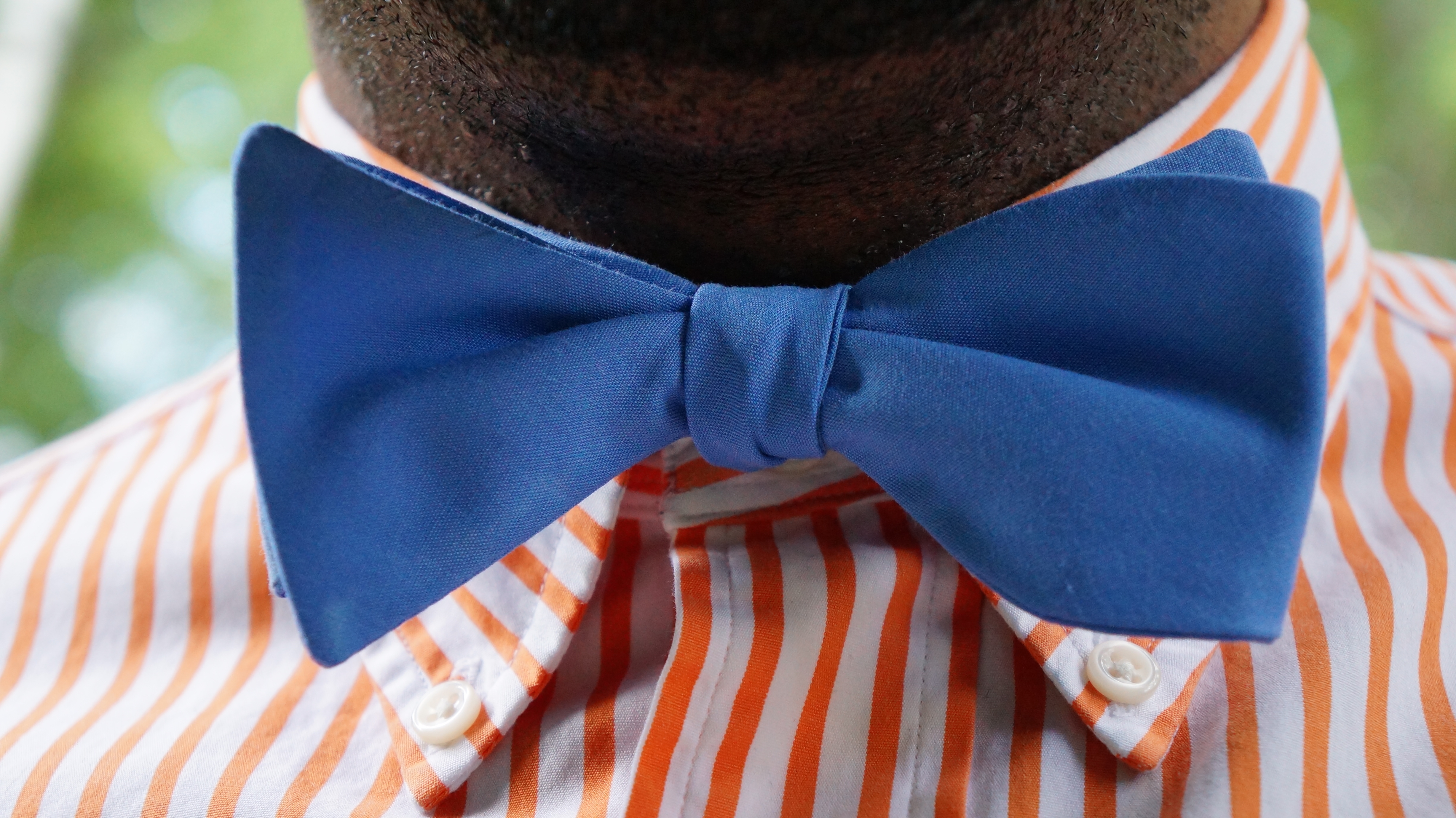 Headline for The Bow Tie Naming Rights Contest (French Blue)