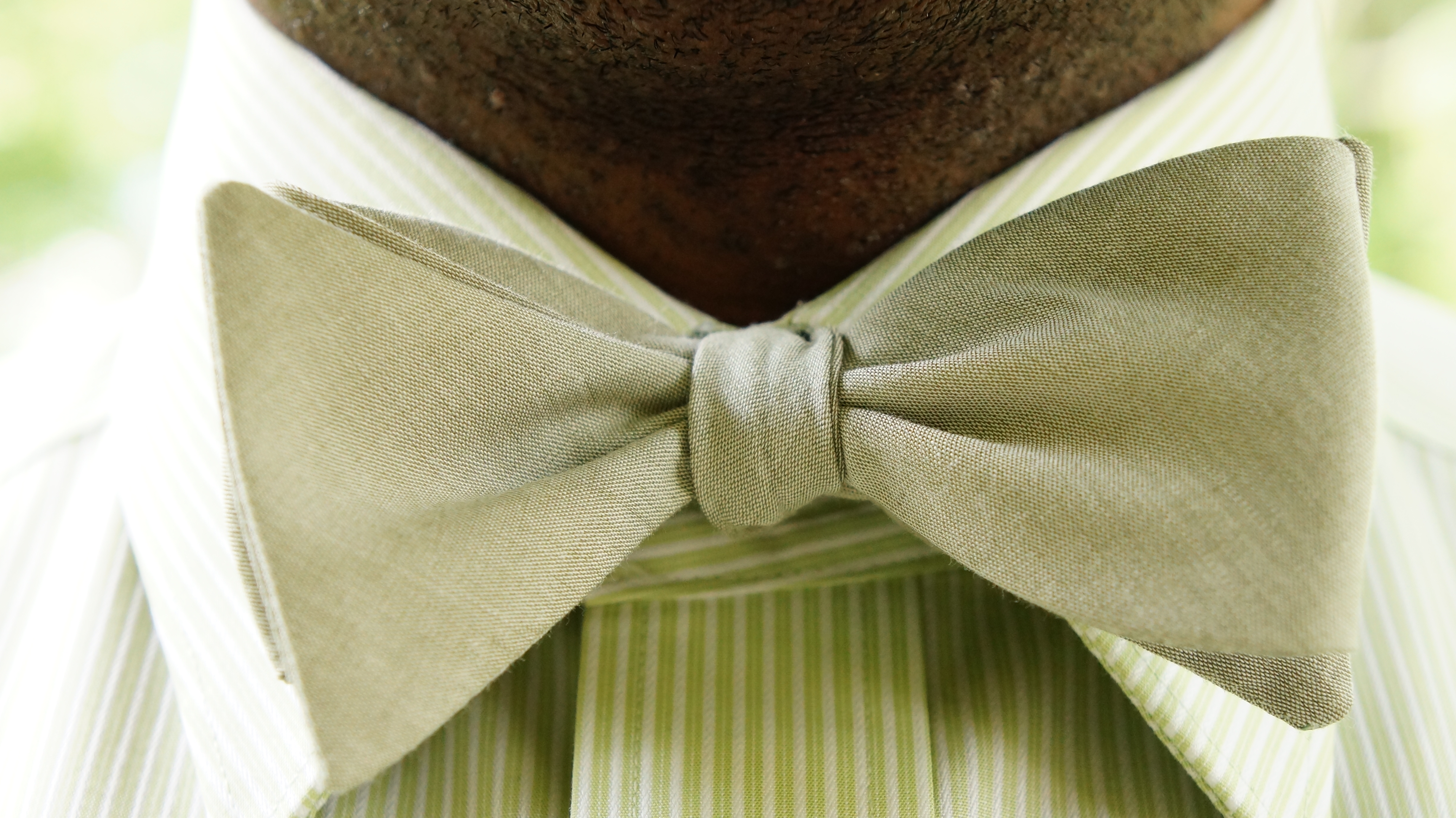 Headline for The Bow Tie Naming Rights Contest (Sage)
