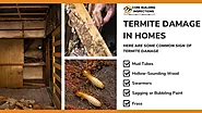 Common Signs of Termite Damage in Homes – Core Building Inspection