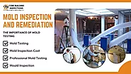 Mold Inspection and Remediation: A Comprehensive Guide – Core Building Inspection