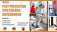 8 Pest Prevention Tips for New Homeowners – Core Building Inspection