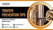 Essential Termite Prevention Tips to Safeguard Your Home – Core Building Inspection