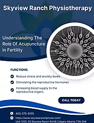 Understanding The Role Of Acupuncture in Fertility | Skyview Ranch Physiotherapy NE Calgary