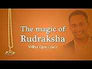 Mystic Rudraksha