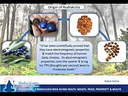 Rudraksha Beads Origin and its Types & Benefits