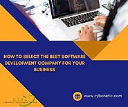 How to Select the Best Software Development Company for Your Business