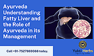 Understanding Fatty Liver and the Role of Ayurveda in its Management – Yukti Herbs