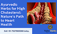 Ayurvedic Herbs for High Cholesterol: Nature’s Path to Heart Health – Yukti Herbs