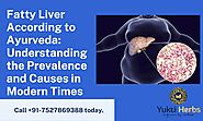 Fatty Liver According to Ayurveda: Understanding the Prevalence and Causes in Modern Times | Potent