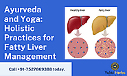 Ayurveda and Yoga: Holistic Practices for Fatty Liver Management – Yukti Herbs