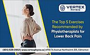 The Top 5 Exercises Recommended by Physiotherapists for Lower Back Pain