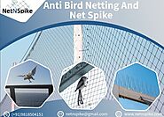 Protecting Your Property With Anti Bird Net in Delhi