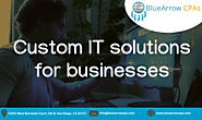 Custom IT solutions for Tribal businesses