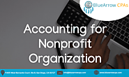 Expert financial management for nonprofit organizations