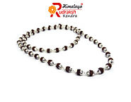 Reliable Source to Buy Rudraksha Silver Chain