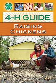 4-H Guide to Raising Chickens