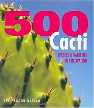 500 Cacti: Species and Varieties in Cultivation