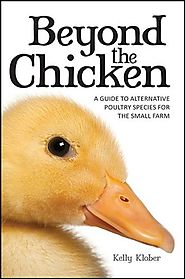 Beyond the Chicken: A Guide to Alternative Poultry Species for the Small Farm