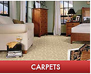 Carpet Cleaning in Kansas City, Olathe & Overland Park