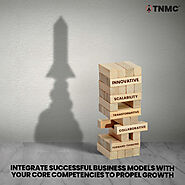 Business Growth Strategy | TNMC