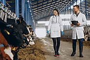 The Best Alternatives to Mr. Milkman: Exploring the Best Milk Delivery Management