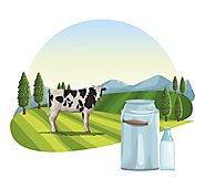 How Milk Delivery App Can Boost Your Business in 2024?