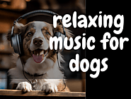 Relaxing Music for Dogs (links and suggestions)