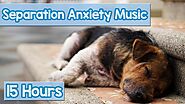15 HOURS of Deep Separation Anxiety Music for Dog Relaxation! Helped 4 Million Dogs Worldwide! NEW!