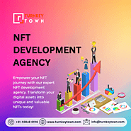 NFT Development Agency