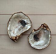 Jewelry Holder Oyster Shell - Gems for a Gem