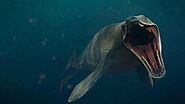 Did primitive cetaceans feed like marine reptiles?