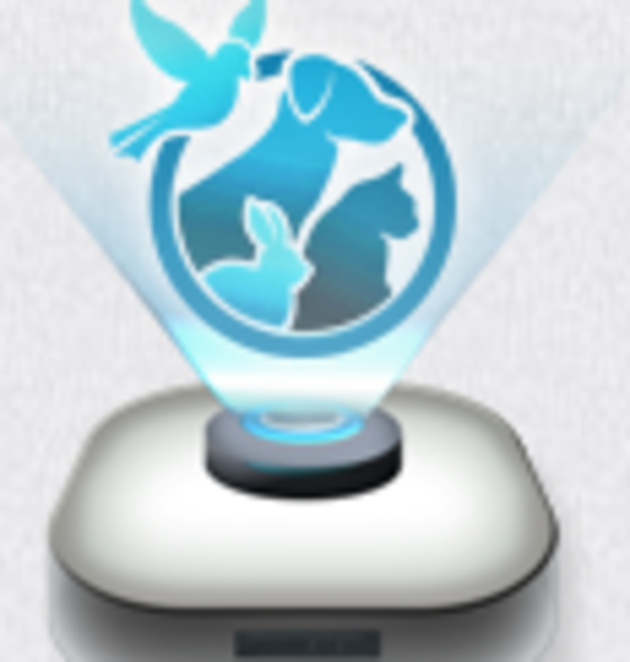 Medium Weight Horse Blankets A Listly List