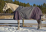 Top Medium Weight Horse Blankets
