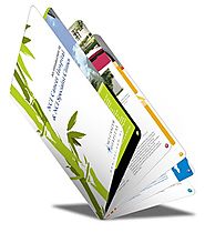 Knowing More about Business Brochures Printing