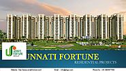 Unnati Fortune Group - Residential Projects in Delhi NCR