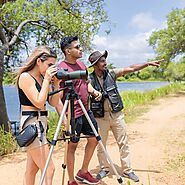 Go on a guided bird trail