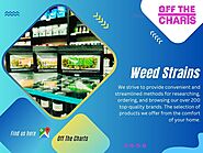 Weed Strains Palm Springs