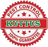 Commercial & Residential Pest Control Service in Ghaziabad - Kuttus Pest