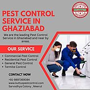 Best Pest Control Service in Ghaziabad