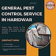 General Pest Control Service in Haridwar