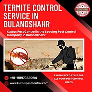 Termite Control Service in Bulandshahr