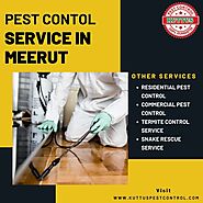 Best Pest Control Service in Meerut by Kuttus Pest Control