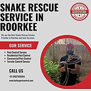 Snake Rescue Service in Roorkee by Kuttus Pest Control