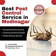 Best Pest Control Service in Modinagar by Kuttus Pest Control
