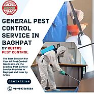 General Pest Control Service in Baghpat by Kuttus Pest Control
