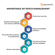 Regular Updates and Patch Management